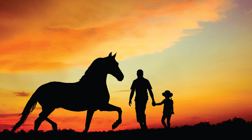 Um dia de sol, um cavalo e um menino!