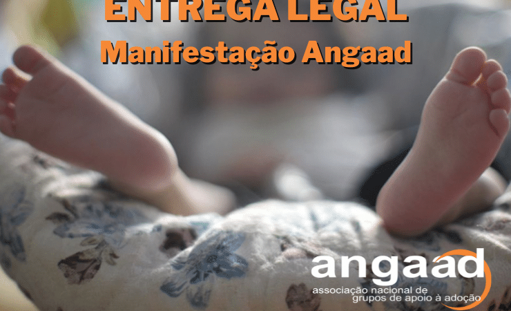ENTREGA LEGAL MANIFESTAÇÃO 207/2022 – ANGAAD